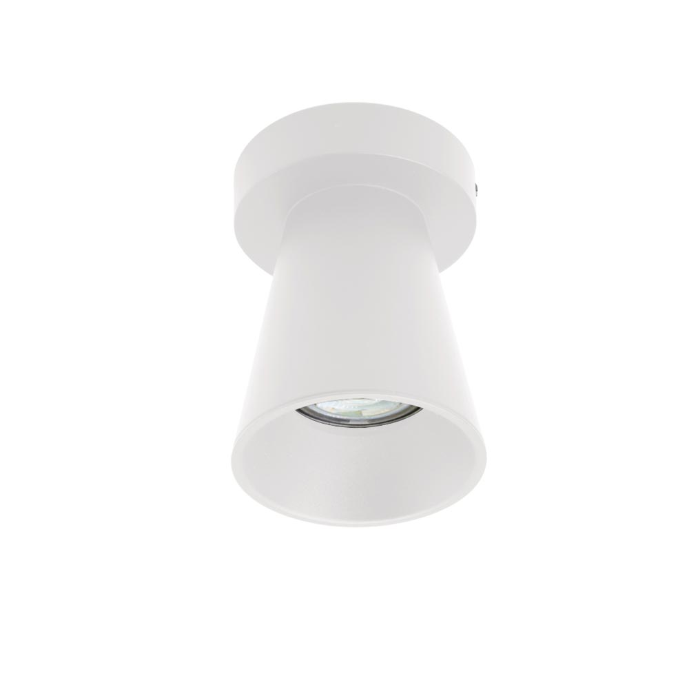 Spazio Kiddush Downlight