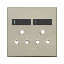 Load image into Gallery viewer, VETi 3 Double RSA Socket Cover Plate 4 x 4
