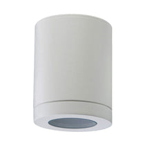 Load image into Gallery viewer, Eurolux Metro Outdoor Ceiling Light
