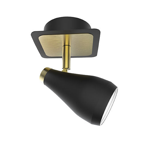 Raindrop Style Spotlight - Brass & Black