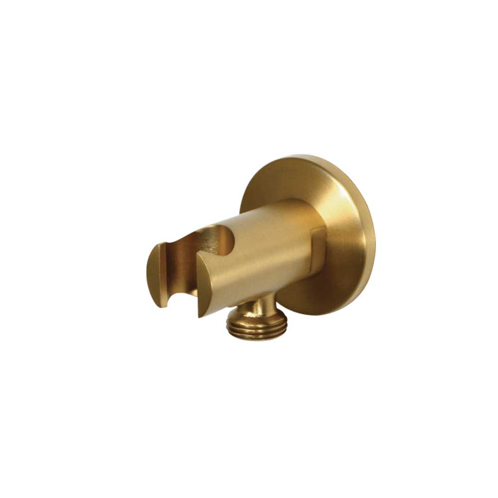 BluTide Round Outlet - Brushed Brass